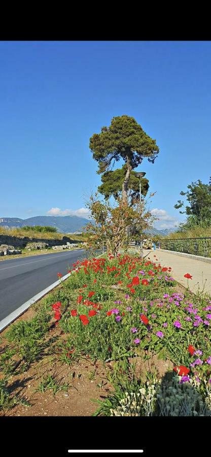 Villa Donatella Paestum Bagian luar foto